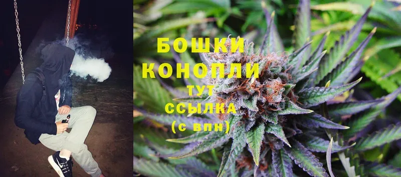 Бошки Шишки Bruce Banner  Павловская 